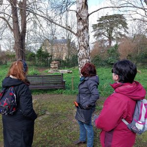 Mar 12th - Abbey tree walkers with birch and robin