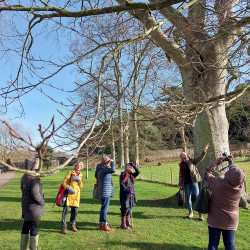 5th Feb - Wells tree walk - Bishop's Palace