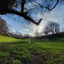 12th Feb - Bushy Coombe