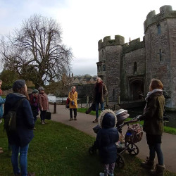 5th Feb - Wells tree walk - Bishop's Palace