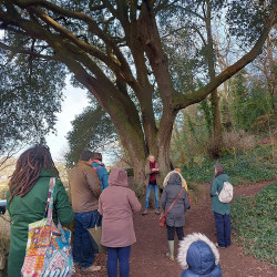 5th Feb - Wells tree walk - Bishop's Palace